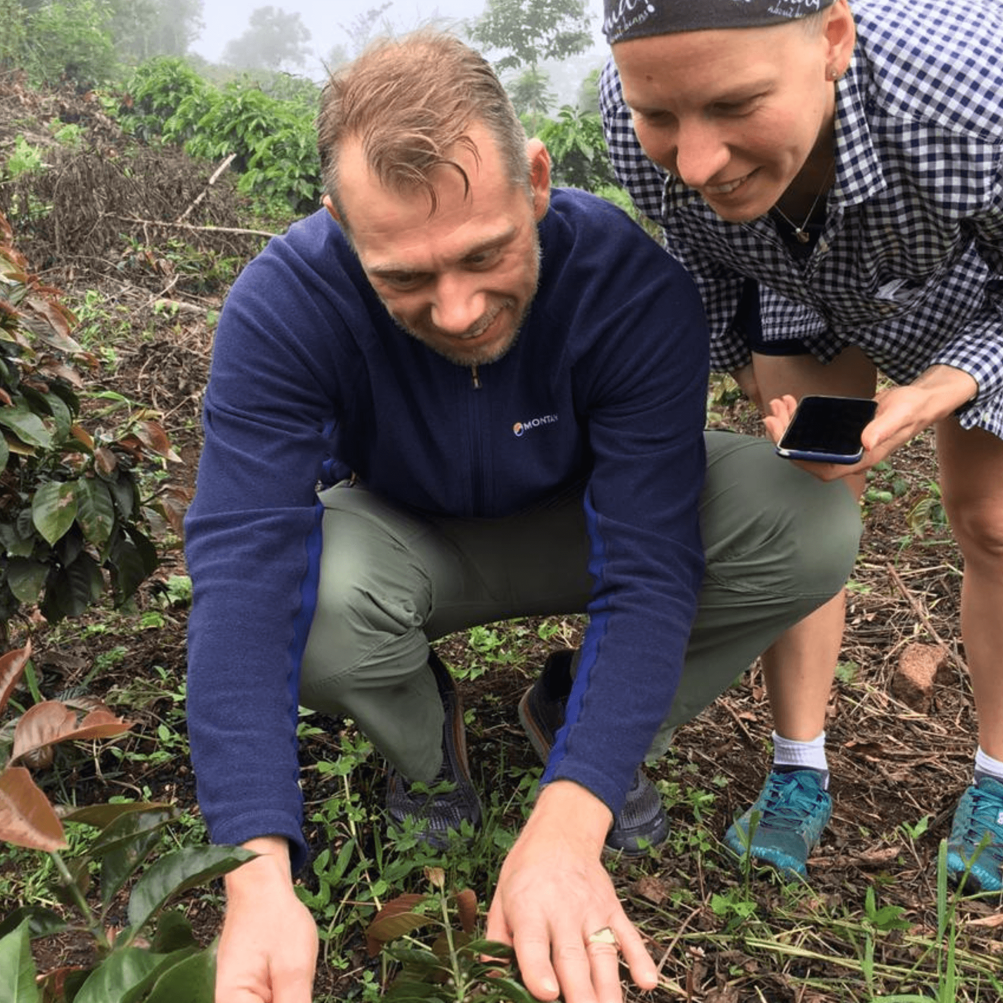 Two people in a coffee field, one holding a phone, both crouching and looking at a young coffee plant. Sabrina ans Sven at one of their farm visits seeing first hand the ethical growers.
